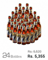 Arna Light 330ML x 24 Bottles