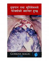 Gorkha Magic Ice Mint 20's