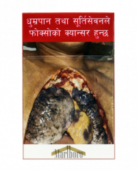 smoking light cigarettes and cigarettes with filters make cigarettes safer Cigarette Filter Dangers: 2026 Expert Safety Facts